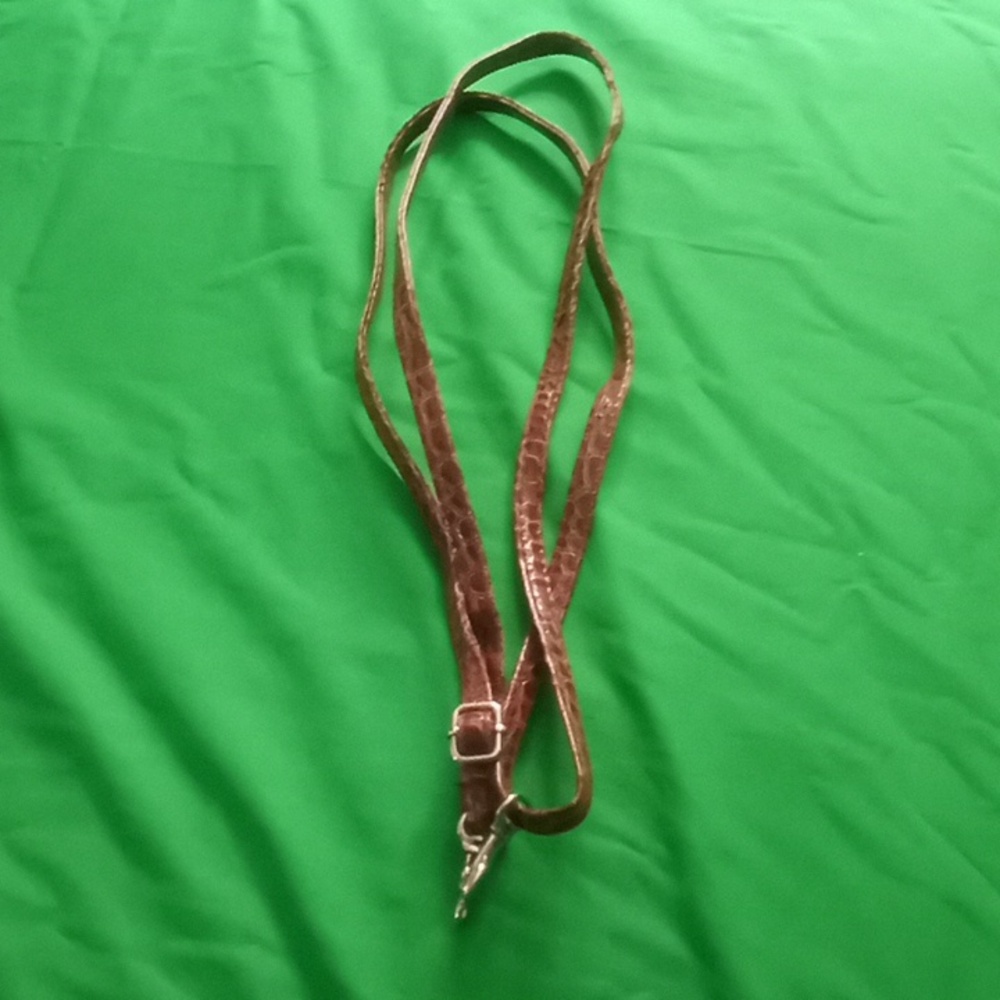 Purse/bag strap
